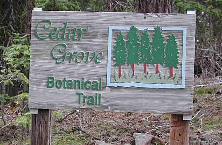Cedar Grove Botanical Trail Sign: Malheur National Forest