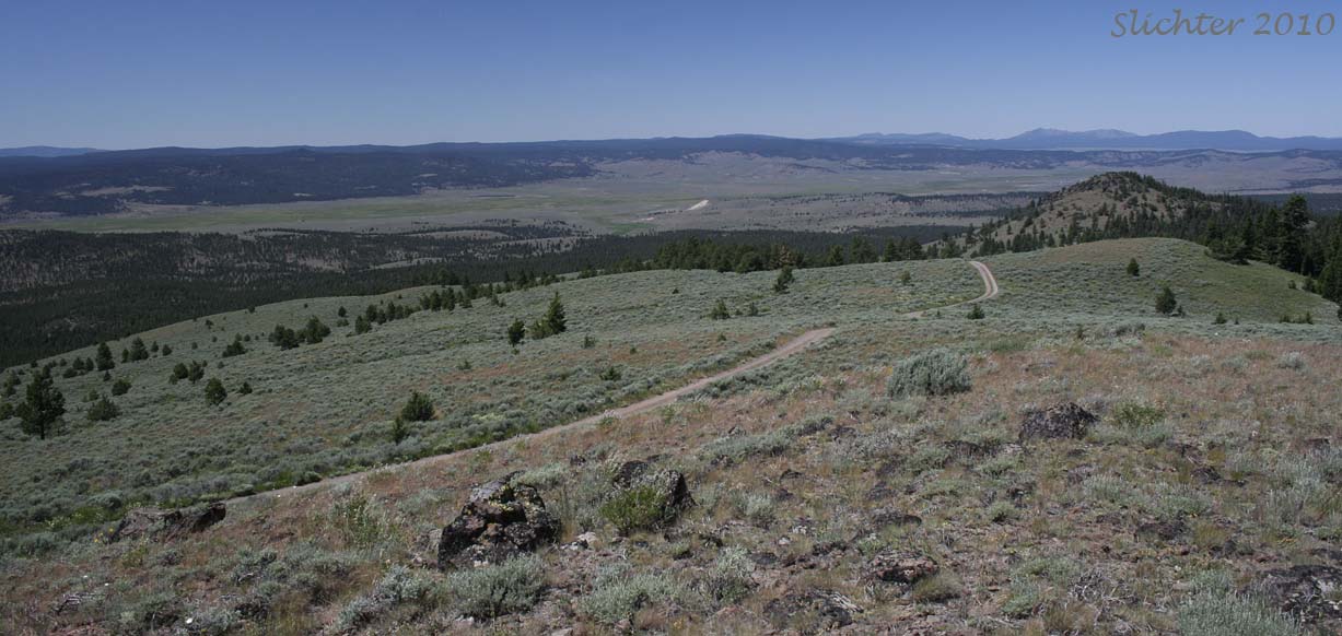 View northwest towards the Aldrich Mountains from Calamity Butte, Malheur National Forest