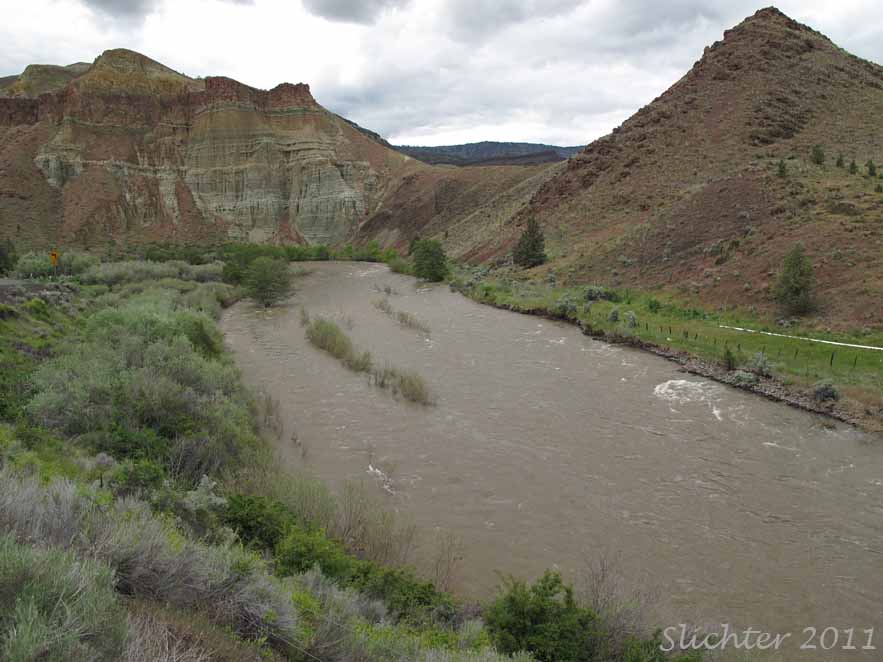 Cathedral Rock with the John Day River at flood stage in the foreground.  John Day Fossil Beds National Monument............June 2, 2011.