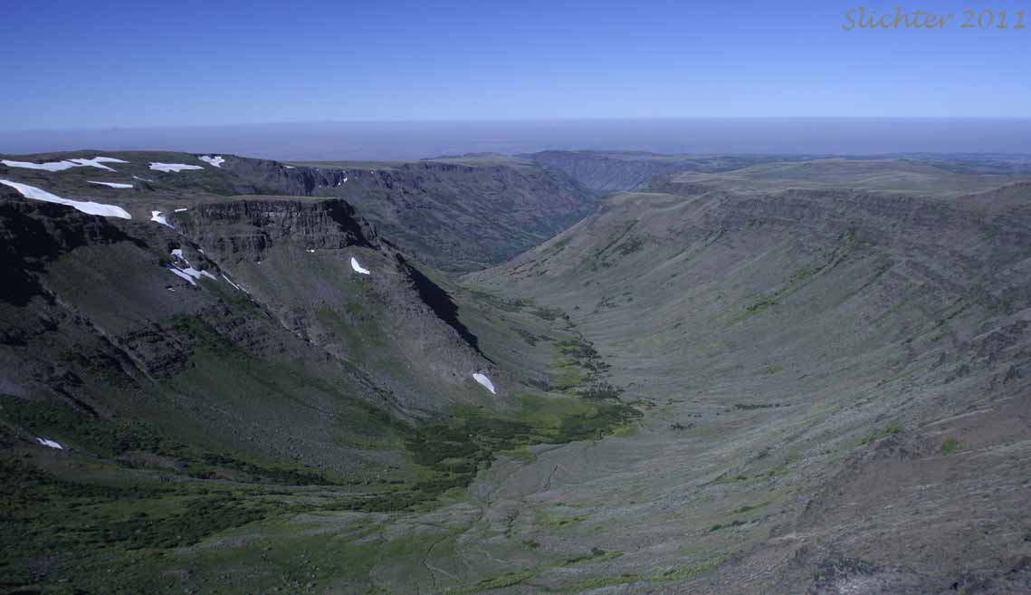 A view west down the Little Blitzen Gorge towards smokey skies to the west of the Steens Mountain............September 1, 2011.
