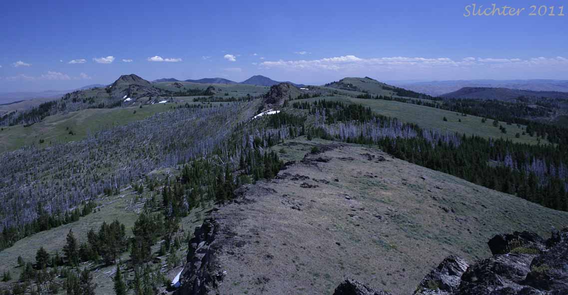 View south along the crest of the Monument Rock Wilderness towards Bullrun Rock (left) and Monument Rock (center right) from the Table Rock.......August 2, 2011.