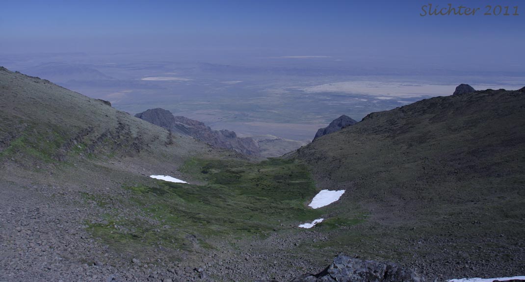 View from Steens Mountain Summit towards the north end of Alvord Lake..........September 1, 2011.