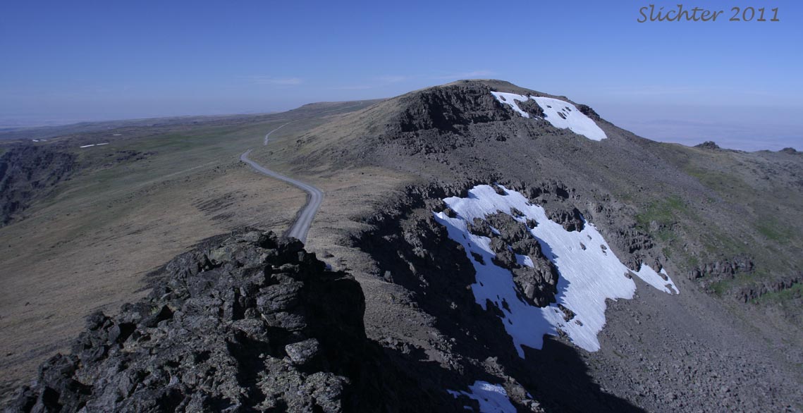 View north along the summit ridge from the Steens Mountain Summit..........September 1, 2011.
