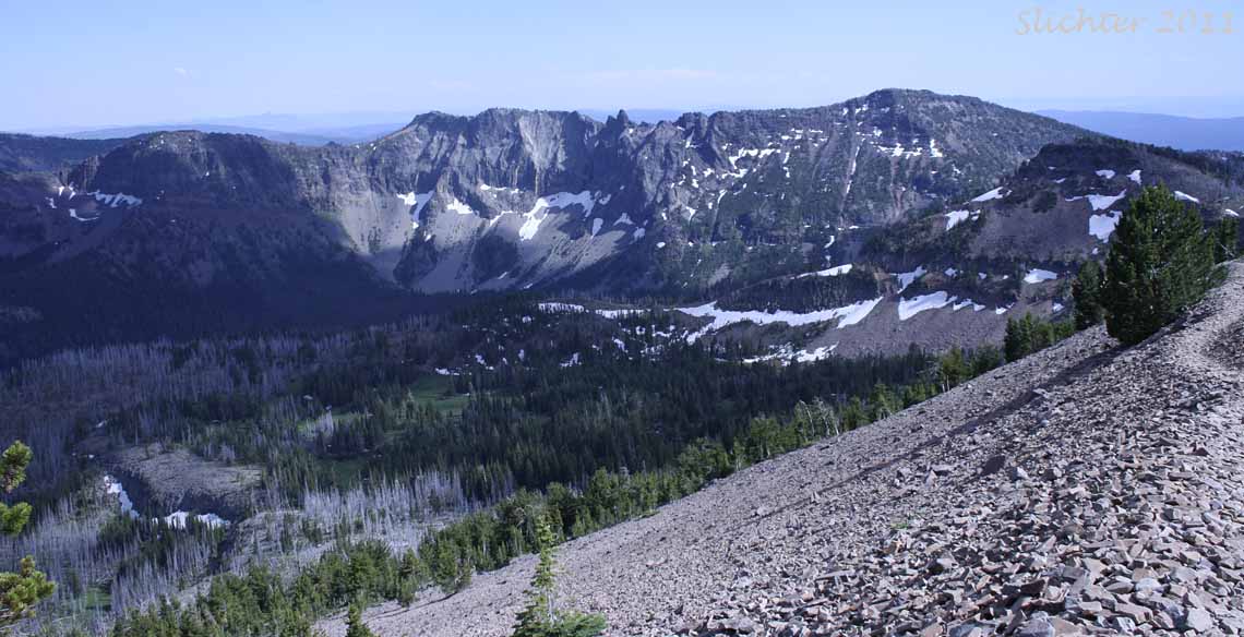 View southeast towards the basin at the upper end of the Strawberry Creek basin, Strawberry Mountain Wilderness..........August 3, 2011.