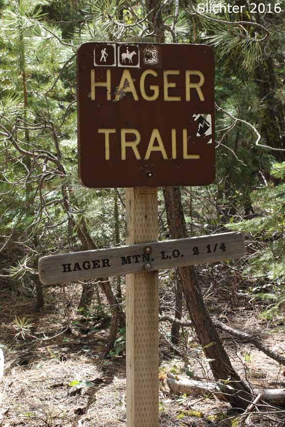 Hager Trail trailhead at Hager Springs, Fremont-Winema National Forest......May 19, 2016.