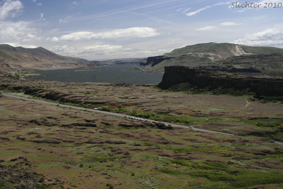 View east from Dancing Rock over Horsethief Butte towards the eastern Columbia River Gorge...............May 1, 2010.
