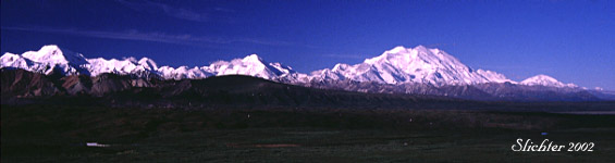 Alaska Range June 2002
