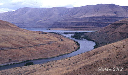 East bank of the Deschutes River near its mouth.