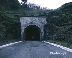 Eastern entrance to the twin tunnels on the Mark O. Hatfield Trail, Columbia River Gorge National Scenic Area