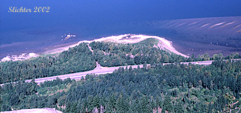 Dalton Point as seen from atop Angel's Rest.........September 9, 2001.