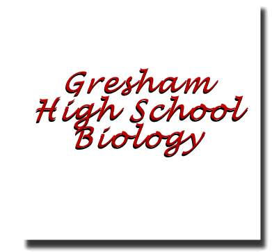 Gresham High School Biology, Gresham High School IB Biology Study Pages