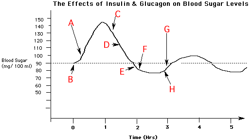 glucose levels graph
