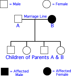 Pedigree Chart Examples