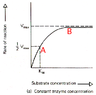 rate of reaction concentration of enzyme and coenzyme
